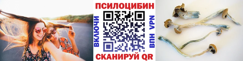 магазин    Куса  Псилоцибиновые грибы Magic Shrooms 