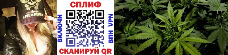 где можно купить   Куса  МАРИХУАНА индика 